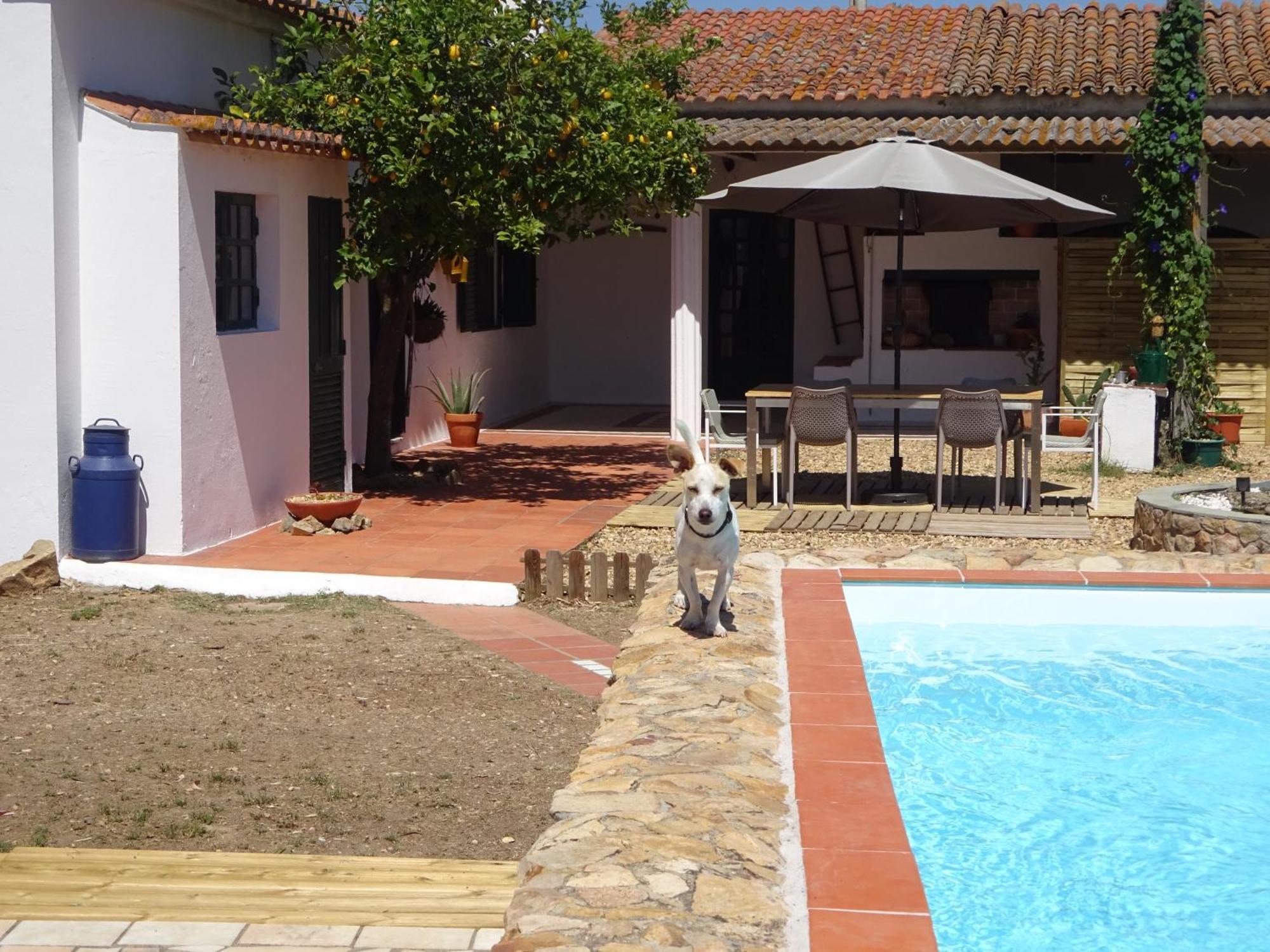 New Village Vila Nova da Baronia 外观 照片